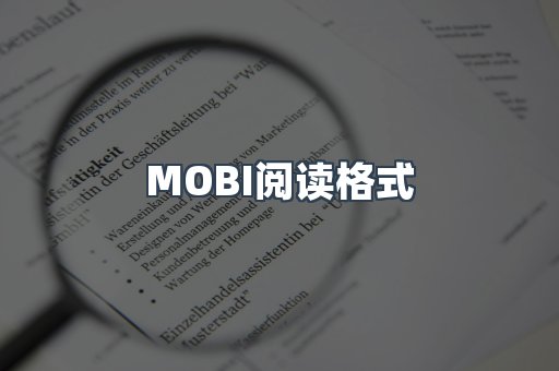 MOBI阅读格式